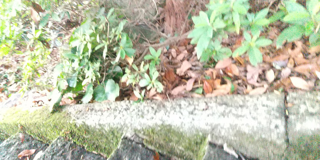 村上神社 - 倉吉市