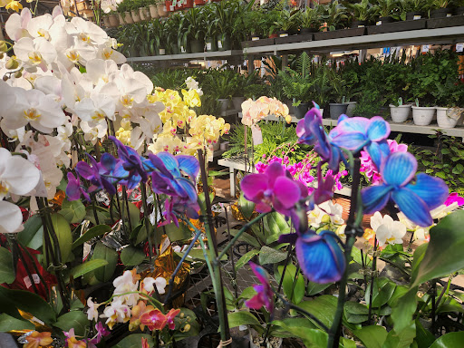 Home Improvement Store «The Home Depot», reviews and photos, 111 Shoreline Pkwy, San Rafael, CA 94901, USA