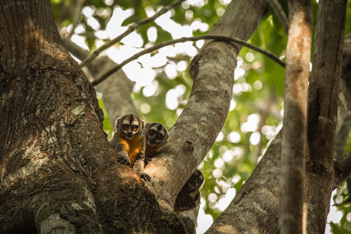 SA Expeditions image