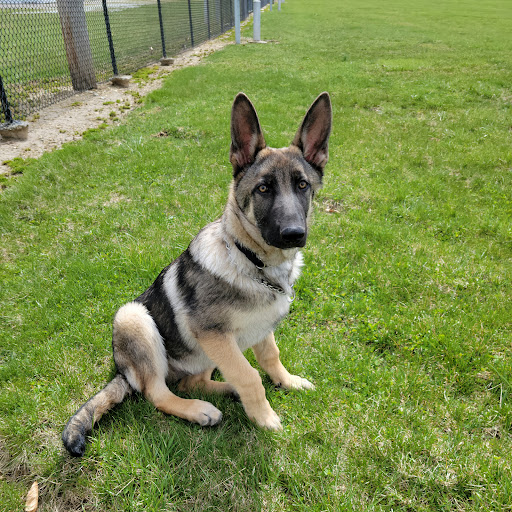 Fairground «Wayne County Fairgrounds», reviews and photos, 861 Salisbury Rd, Richmond, IN 47374, USA
