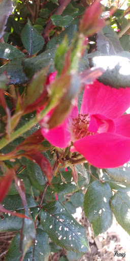 Gift Shop «Shops At Tucker House», reviews and photos, 4354 Lynburn Dr, Tucker, GA 30084, USA