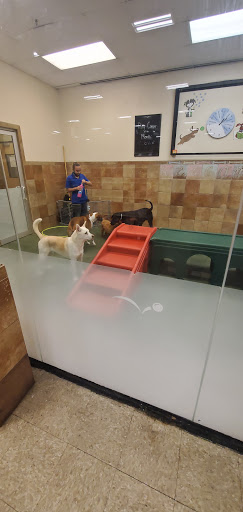 Pet Supply Store «PetSmart», reviews and photos, 400 Mill Creek Dr, Secaucus, NJ 07094, USA