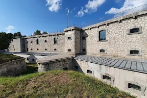 Forte Italiano Santa Viola image