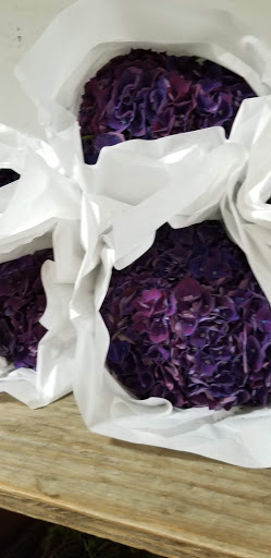 Florist «Sieck-Wright Floral Products», reviews and photos, 231 Monmouth St, Hightstown, NJ 08520, USA