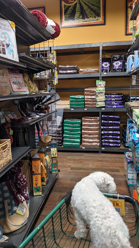 Pet Store «Hollywood Feed - Collierville, TN - Collierville», reviews and photos, 3615 S Houston Levee Rd, Collierville, TN 38017, USA
