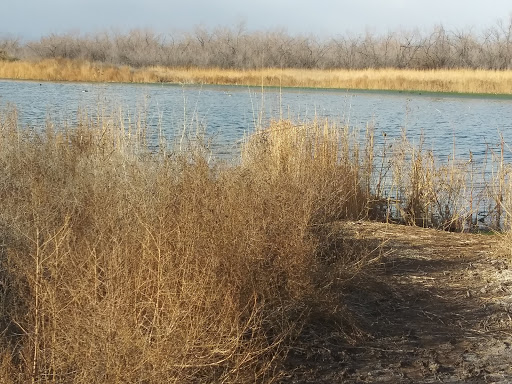 Tourist Attraction «Madame Tussauds Las Vegas», reviews and photos, 3377 S Las Vegas Blvd #2001, Las Vegas, NV 89109, USA