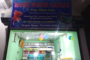Marine Wonder Aquarium image