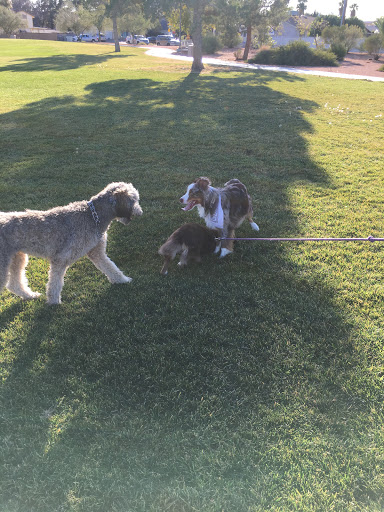 Memorial Park «Firefighters Memorial Park», reviews and photos, 6401 W Oakey Blvd, Las Vegas, NV 89146, USA