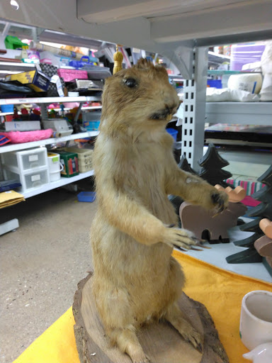 Thrift Store «Savers», reviews and photos, 230 W Virginia St #50, Crystal Lake, IL 60014, USA