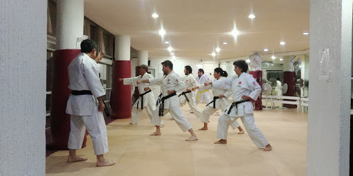 KARATE JKA Kaizen Dojo México / Roma·Condesa (Japan Karate Association)
