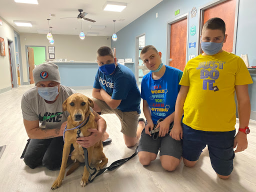 Spay/Neuter Veterinary Clinic of the Sandhills image