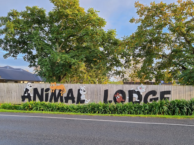 Animal Lodge - Pet Accommodation - Boarding Kennels & Grooming - Hamilton