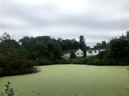 Nature Preserve «Dolan Pond Conservation Area», reviews and photos, Webster Park, West Newton, MA 02465, USA