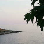 Photo n°16 de l'avis de Vix.i fait le 24/06/2021 à 15:42 sur le  Bar del Moro à Patù