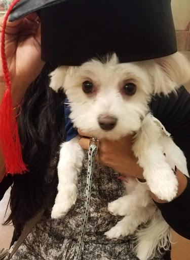 Pet Supply Store «PetSmart», reviews and photos, 11101 University Ave B, Clive, IA 50325, USA