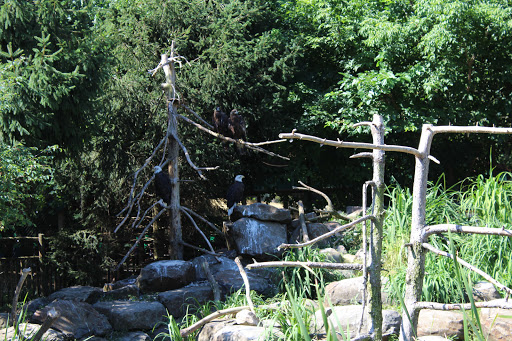 Day Care Center «Little Lambs Day Care, Inc.», reviews and photos, 837 Sumneytown Pike, Lansdale, PA 19446, USA