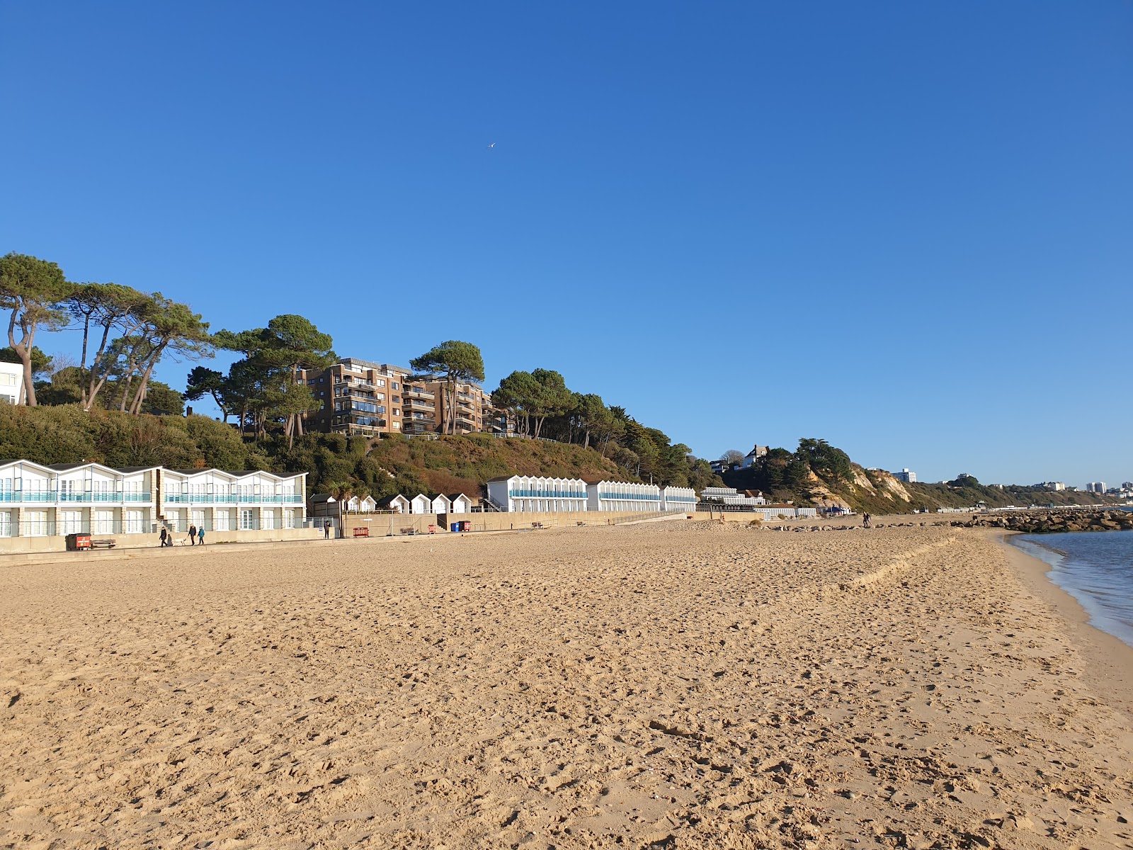 Branksome Beach photo #8