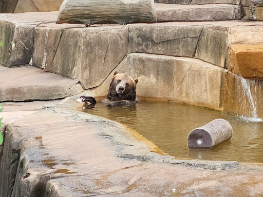 Zoo «Milwaukee County Zoo», reviews and photos, 10001 W Bluemound Rd, Milwaukee, WI 53226, USA