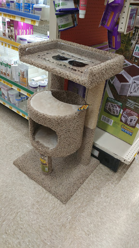 Shopping Mall «Shops at Vineyard Village», reviews and photos, 2800 Texas 121 Business, Euless, TX 76039, USA