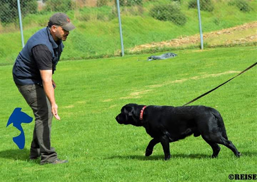 La Roca Campo De Adiestramiento Canino