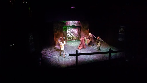 Performing Arts Theater «The Shakespeare Theatre of New Jersey», reviews and photos, 36 Madison Ave, Madison, NJ 07940, USA