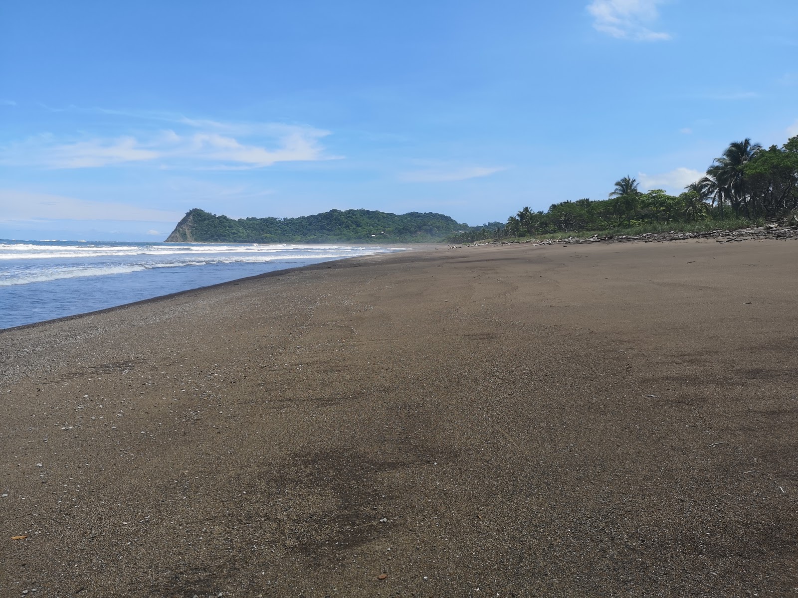 Punta Buena Vista photo #7