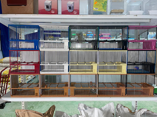 Su Mascota Feliz en Arroyo de San Serván, Badajoz