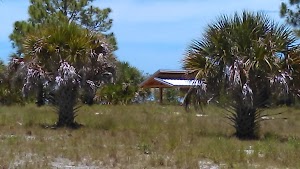 Lemon Bay Park and Environmental Center - photo 23
