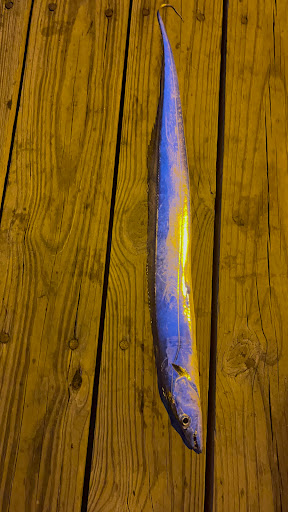 Fishing Pier «Springmaid Pier», reviews and photos, 3200 S Ocean Blvd, Myrtle Beach, SC 29577, USA