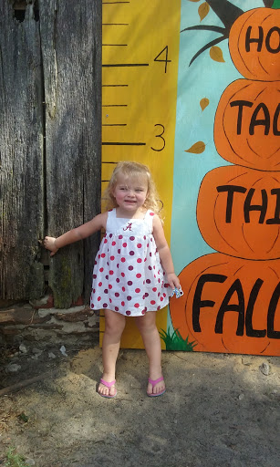 Tourist Attraction «Sugar Hill U-pick Farms», reviews and photos, 3595 Co Rd 59, Verbena, AL 36091, USA