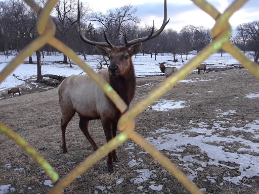 Zoo «Lords Park Zoo», reviews and photos, 325 Hiawatha Dr, Elgin, IL 60120, USA