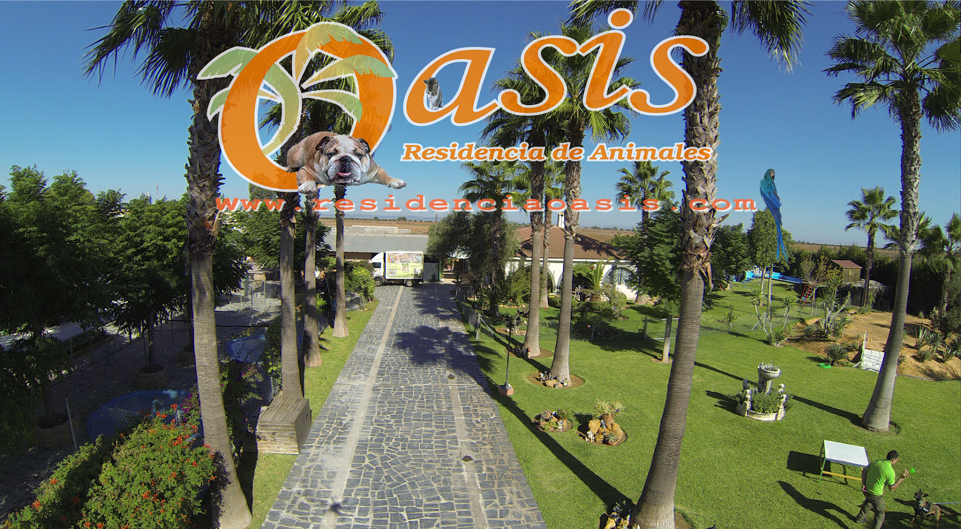 Residencia de Animales Oasis