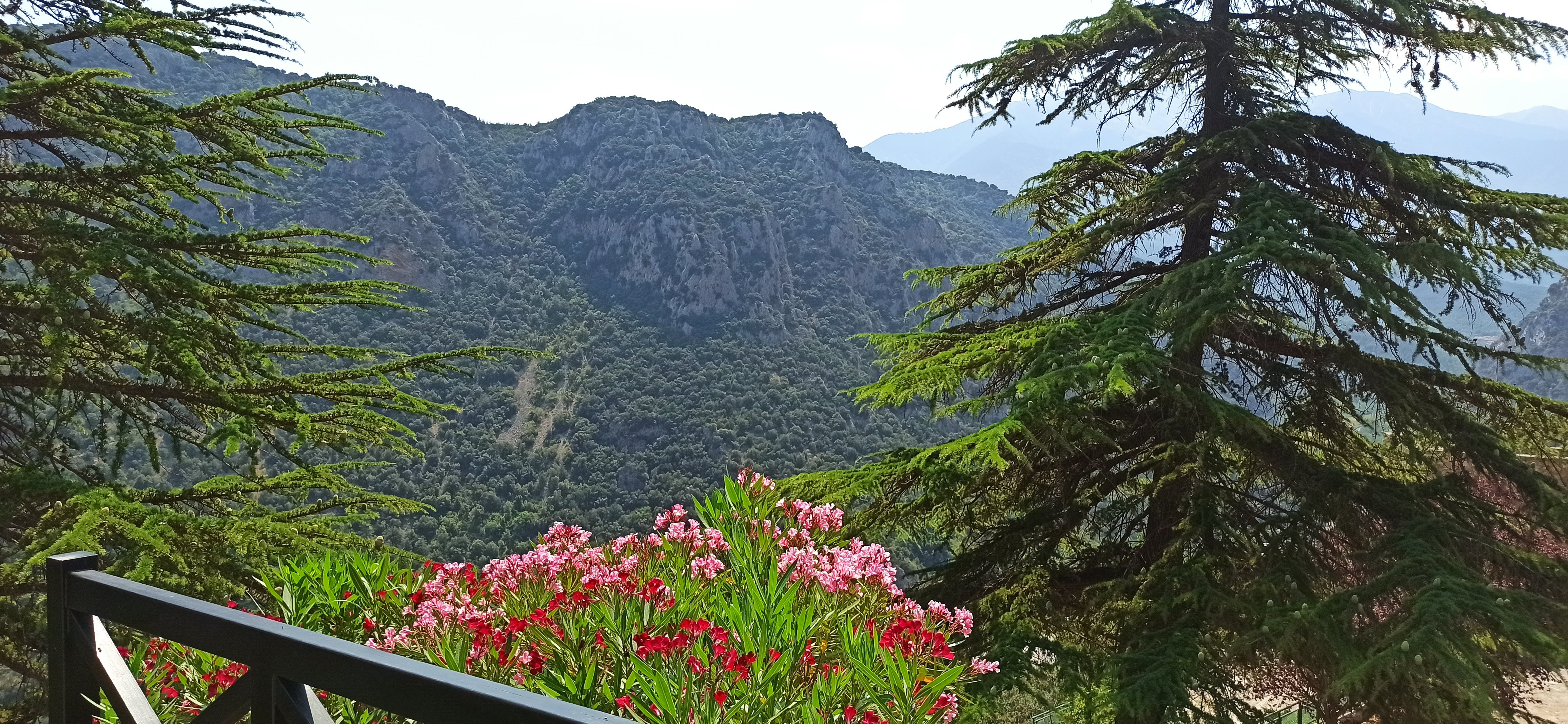 Photo n° 11 de l'avis de rach.h fait le 24/07/2021 à 17:53