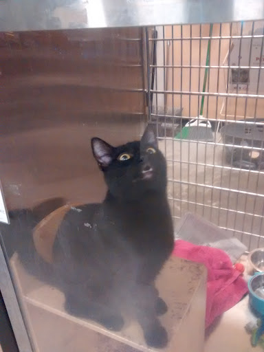 Pet Supply Store «PetSmart», reviews and photos, 2510 Berryhill Rd, Montgomery, AL 36117, USA