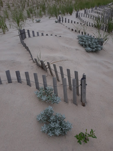 Golf Club «Maidstone Club», reviews and photos, 29 Maidstone Ln, East Hampton, NY 11937, USA