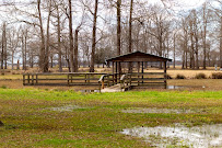 Herbert Glaze Photography - Photo 2 - Car repair in , Monroe