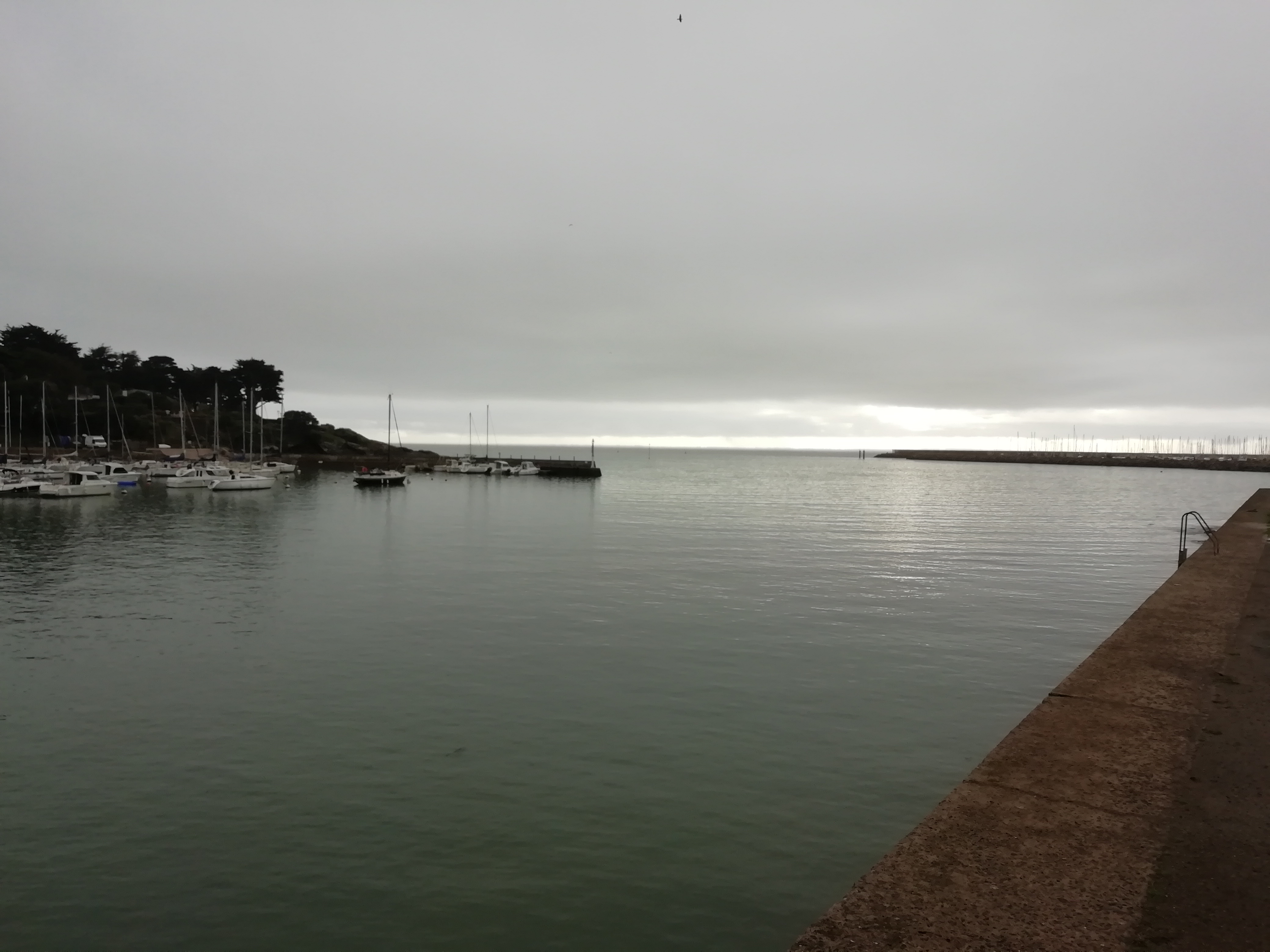 Photo n° 3 de l'avis de Gontran.a fait le 25/10/2019 à 20:55