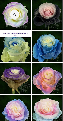 Florist «LV Flower Events», reviews and photos, 6331 Avenue N, Brooklyn, NY 11234, USA