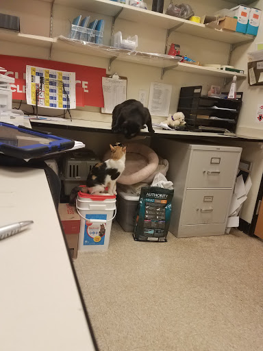 Pet Supply Store «PetSmart», reviews and photos, 1125 Quentin Rd, Lebanon, PA 17042, USA