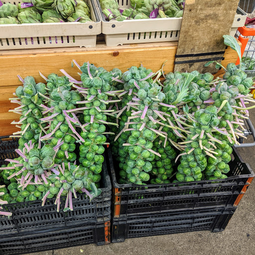 Butcher Shop «Magnani Poultry», reviews and photos, 1576 Hopkins St, Berkeley, CA 94707, USA