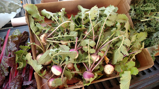 Auto Repair Shop «Falcon Auto Service Center», reviews and photos, 14195 US-24, Peyton, CO 80831, USA