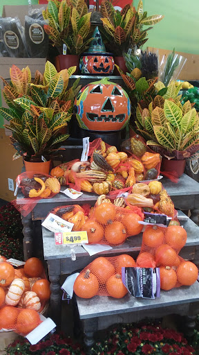 Shopping Mall «Sunset Square Shopping Center», reviews and photos, 1518 Austin Hwy, San Antonio, TX 78218, USA