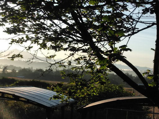 Non-Profit Organization «Everett Gospel Mission», reviews and photos