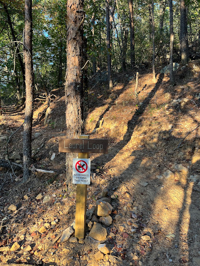 Laurel Loop Trail