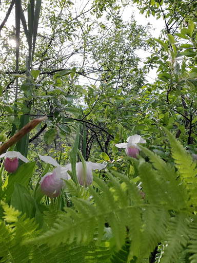 Nature Preserve «Eshqua Bog Natural Area», reviews and photos, Garvin Hill Rd, Woodstock, VT 05091, USA