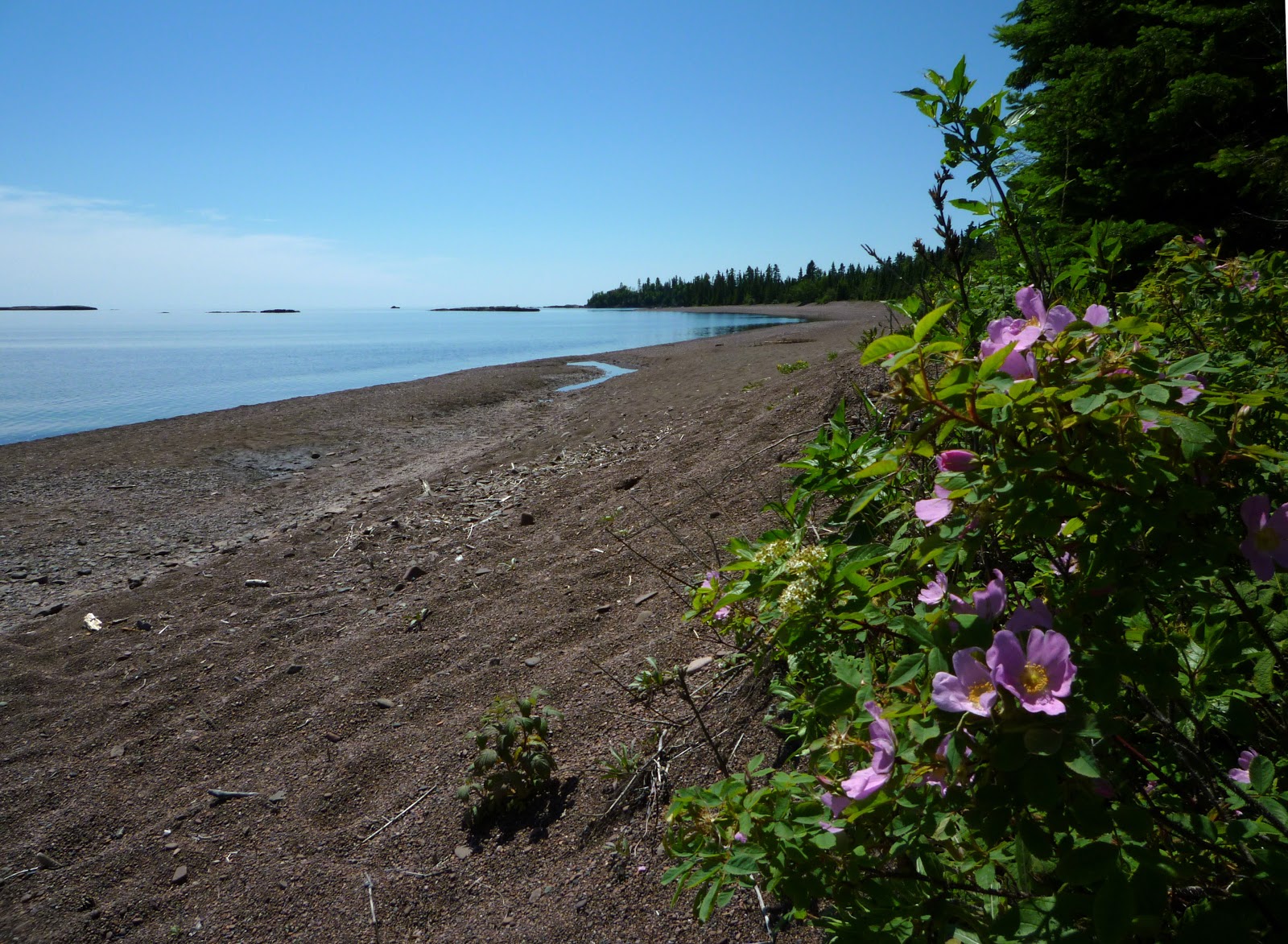 Photo de Paradise Beach situé dans une zone naturelle