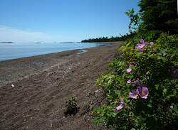 Paradise Beach'in fotoğrafı doğal alan içinde bulunmaktadır