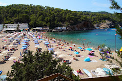 Photo de Platja des Port de Sant Miquel zone des équipements