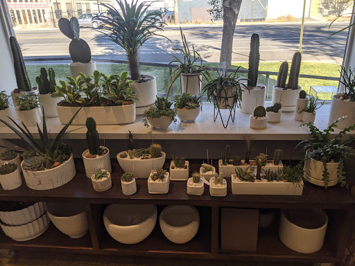 Orchid Grower «Orchid Dynasty», reviews and photos, 959 900 S, Salt Lake City, UT 84105, USA