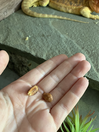 Home Improvement Store «The Home Depot», reviews and photos, 4150 Joslyn Rd, Auburn Hills, MI 48326, USA